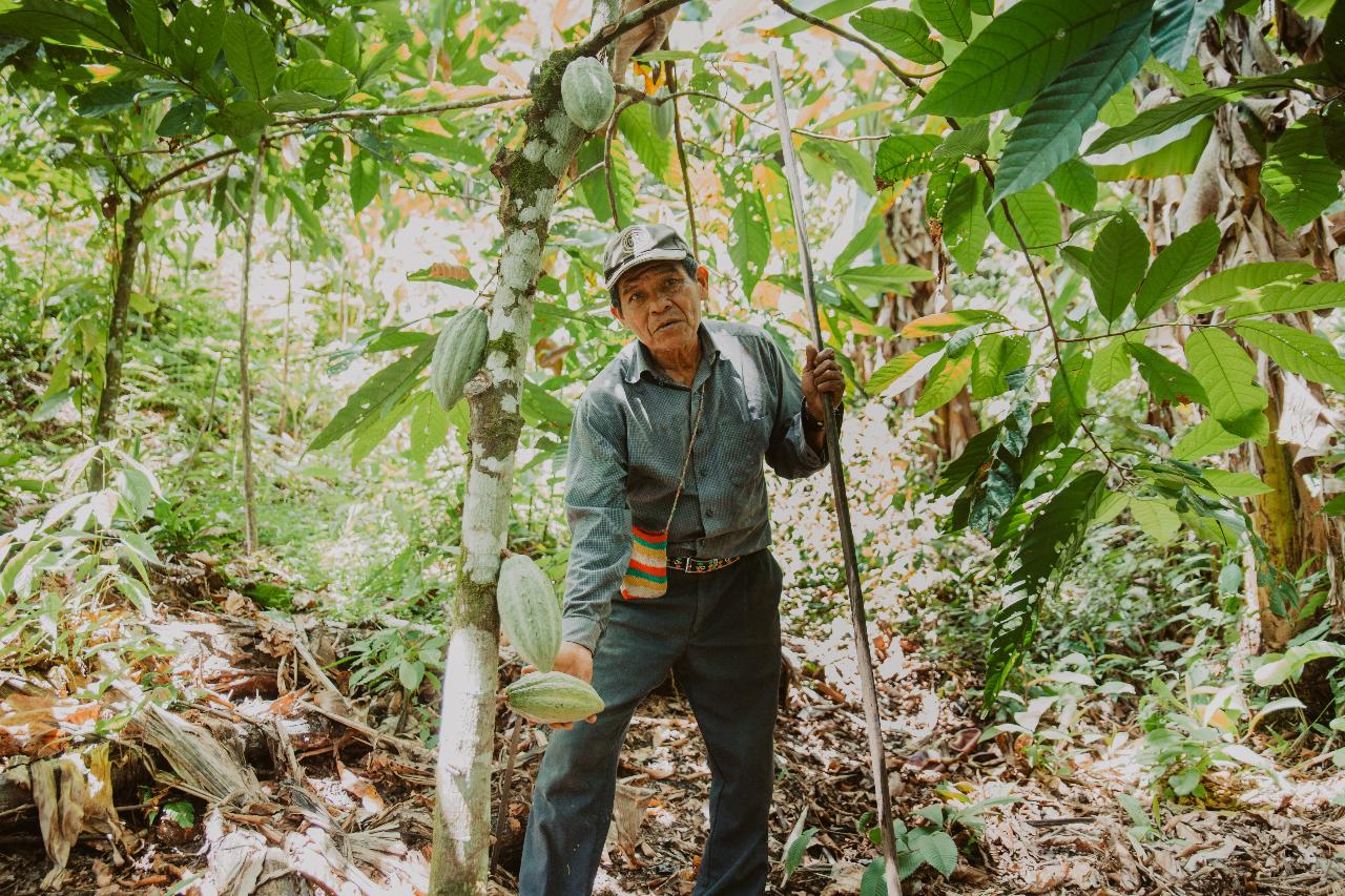 Tribal and Cultural Immersion Tour - Costa Rica
