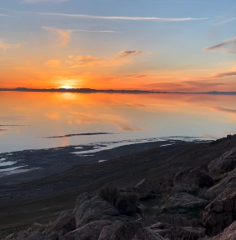 The Great Salt Lake – Antelope Island Wildlife Tour