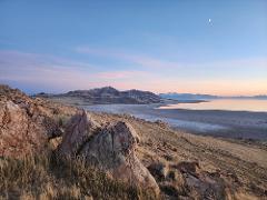 The Great Salt Lake – Antelope Island Wildlife Tour