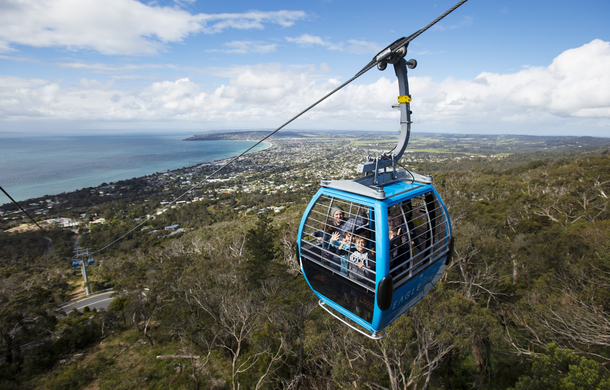Mornington Peninsula Tour: Moonlit Sanctuary and Arthur Seat Adventure