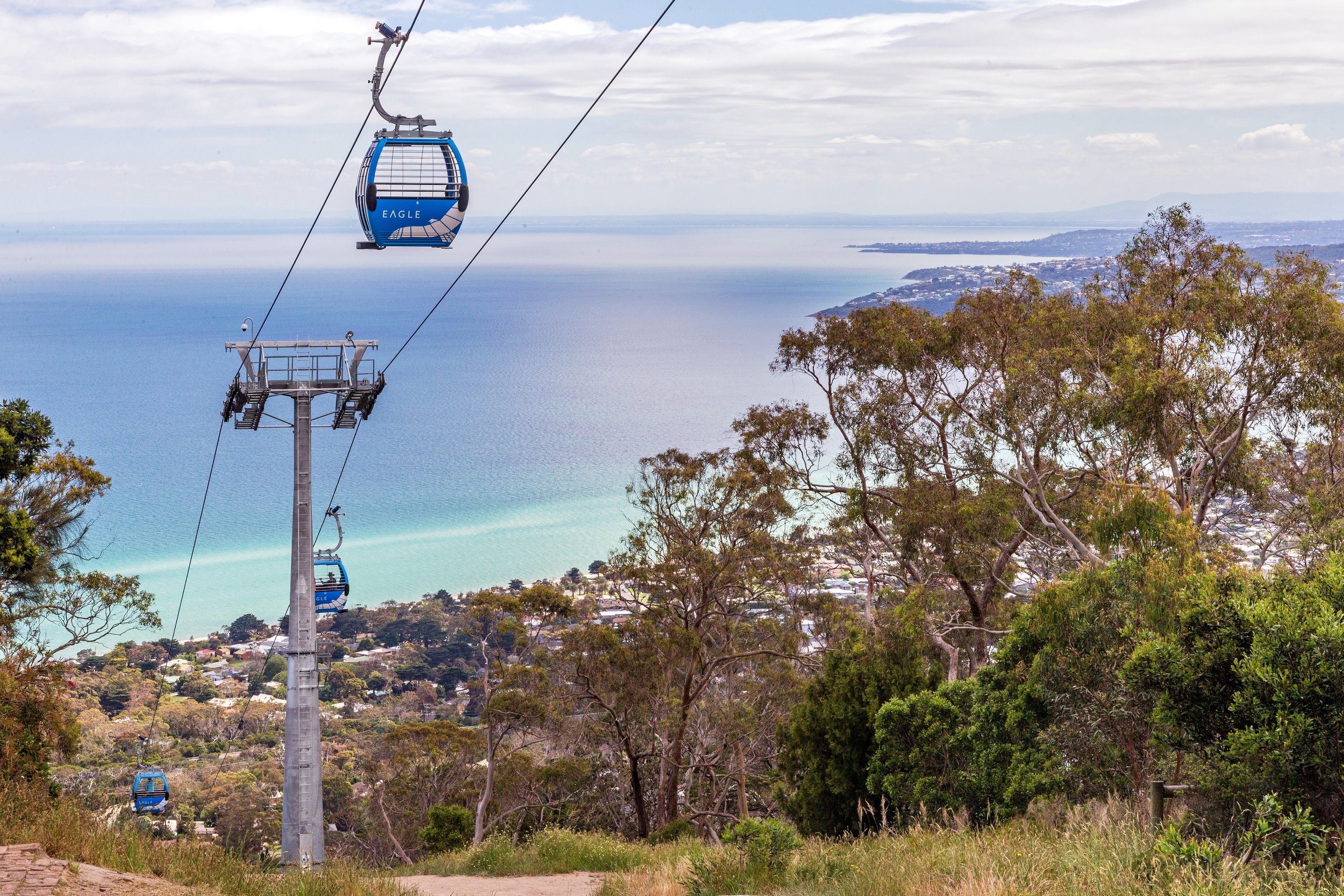 Mornington Peninsula Tour: Moonlit Sanctuary and Arthur Seat Adventure