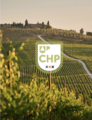 Up Champagne - format 2 jours