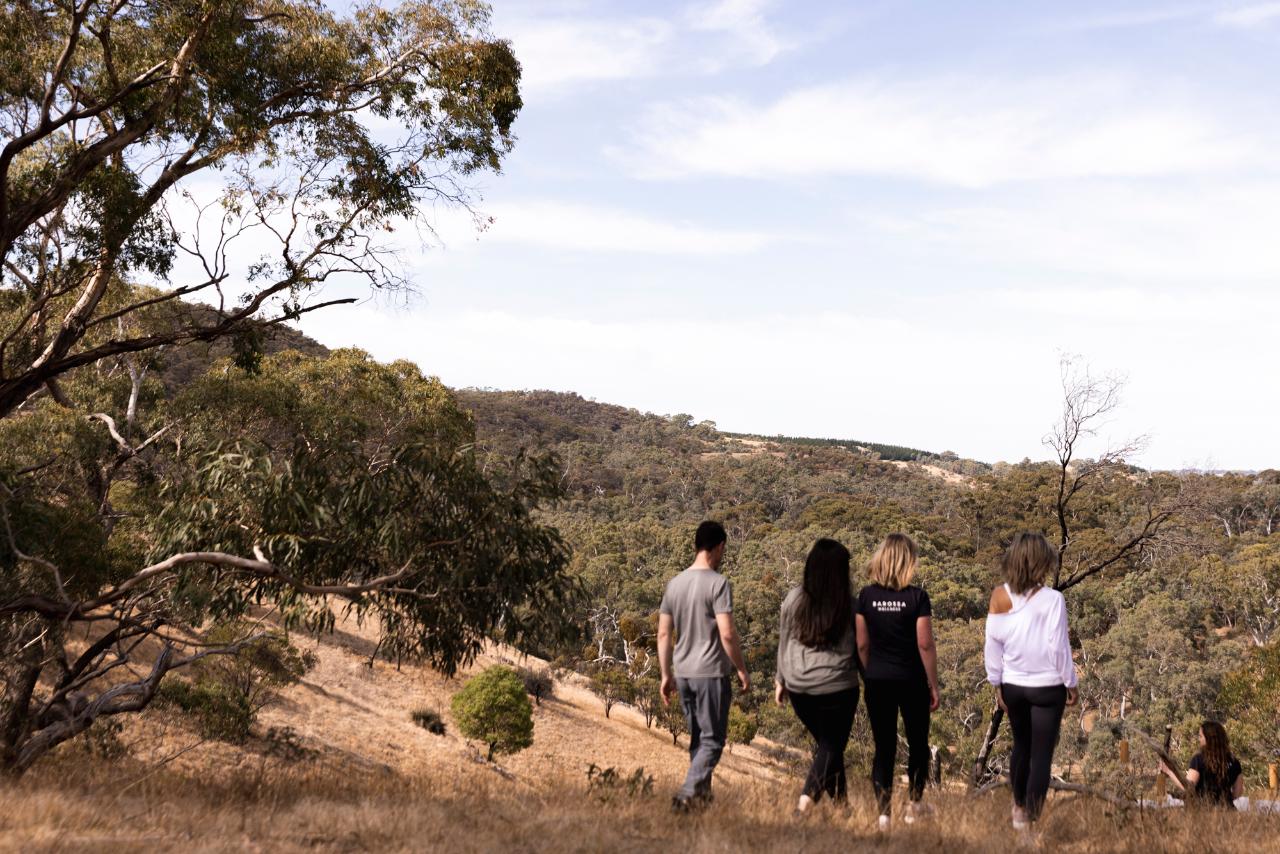 $150 Beyond Wellness Co. Gift Voucher