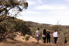 $150 Beyond Wellness Co. Gift Voucher