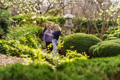 Stillness in the Adelaide Japanese Garden