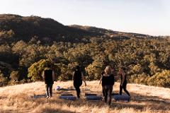 Barossa Wellness Nature Walk with Gourmet Picnic