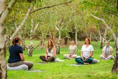 $200 Beyond Wellness Co. Gift Voucher