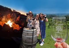 Stanthorpe In A Day - Winery Tour