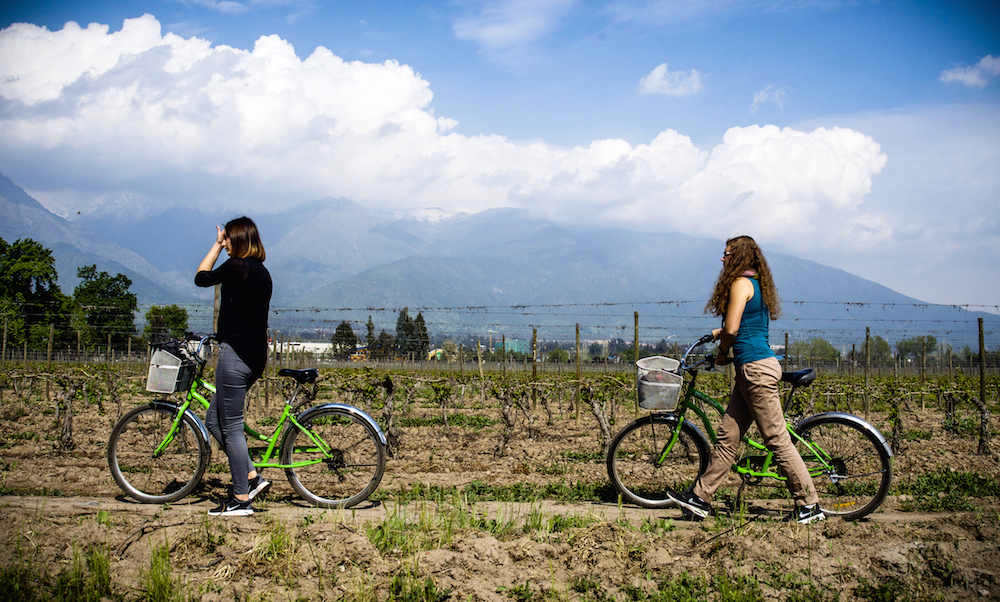 Private Bike and Wine Cousiño Macul // Tour Privado Bicicleta y Vino Cousiño Macul