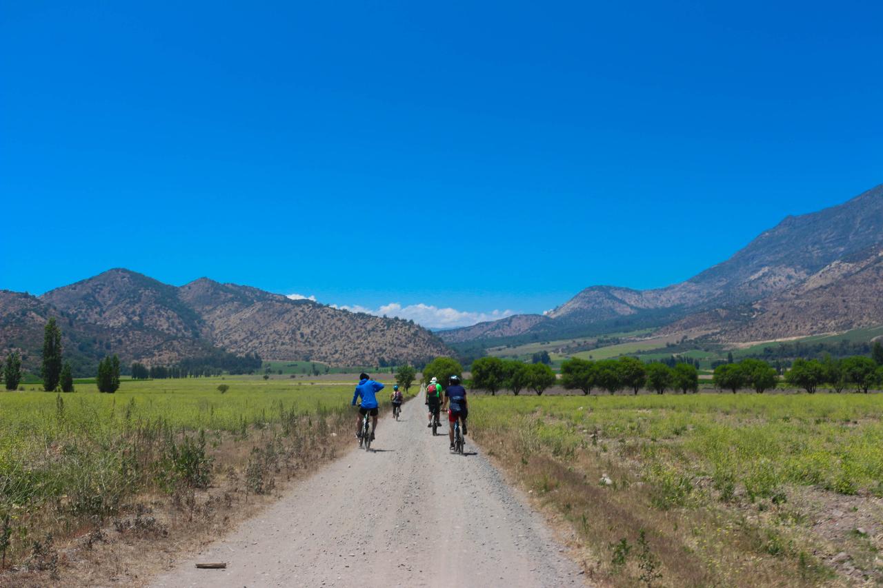 Semi-Private Santa Rita Bike and Wine // Semi - Privado Santa Rita Bici y Vino