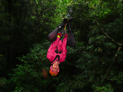 Zipline (Canopy) Jungle Tour