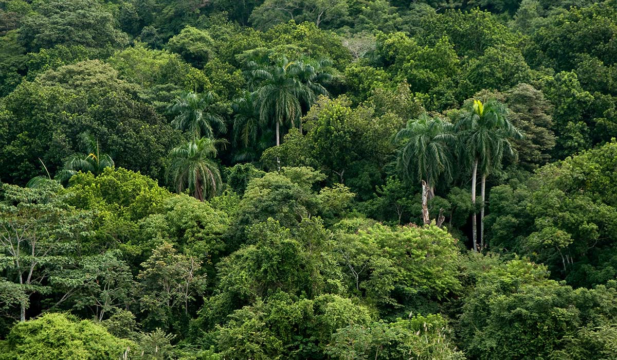 Hiking Parque de la Soberanía & Canal de Panamá - Panama Heavens JE, S ...