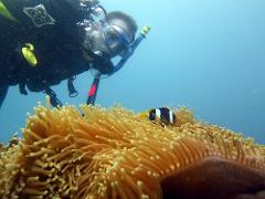 2-Tank_Scuba_Tour - Whitsunday_Islands – Whitsunday Dive Adventures
