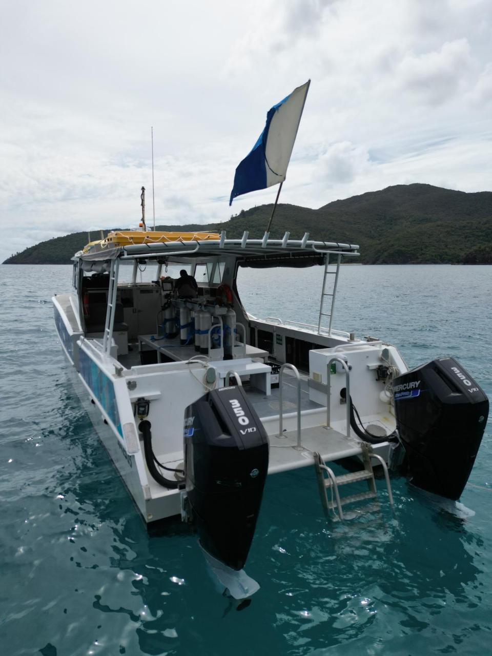 Hamilton Island Private Scuba Diving Charter – Direct Marina Pickup (SharkBait)