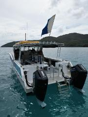 Hamilton Island Private Scuba Diving Charter – Direct Marina Pickup (SharkBait)