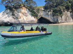 'Cathedral Cove Special' Boat Tour