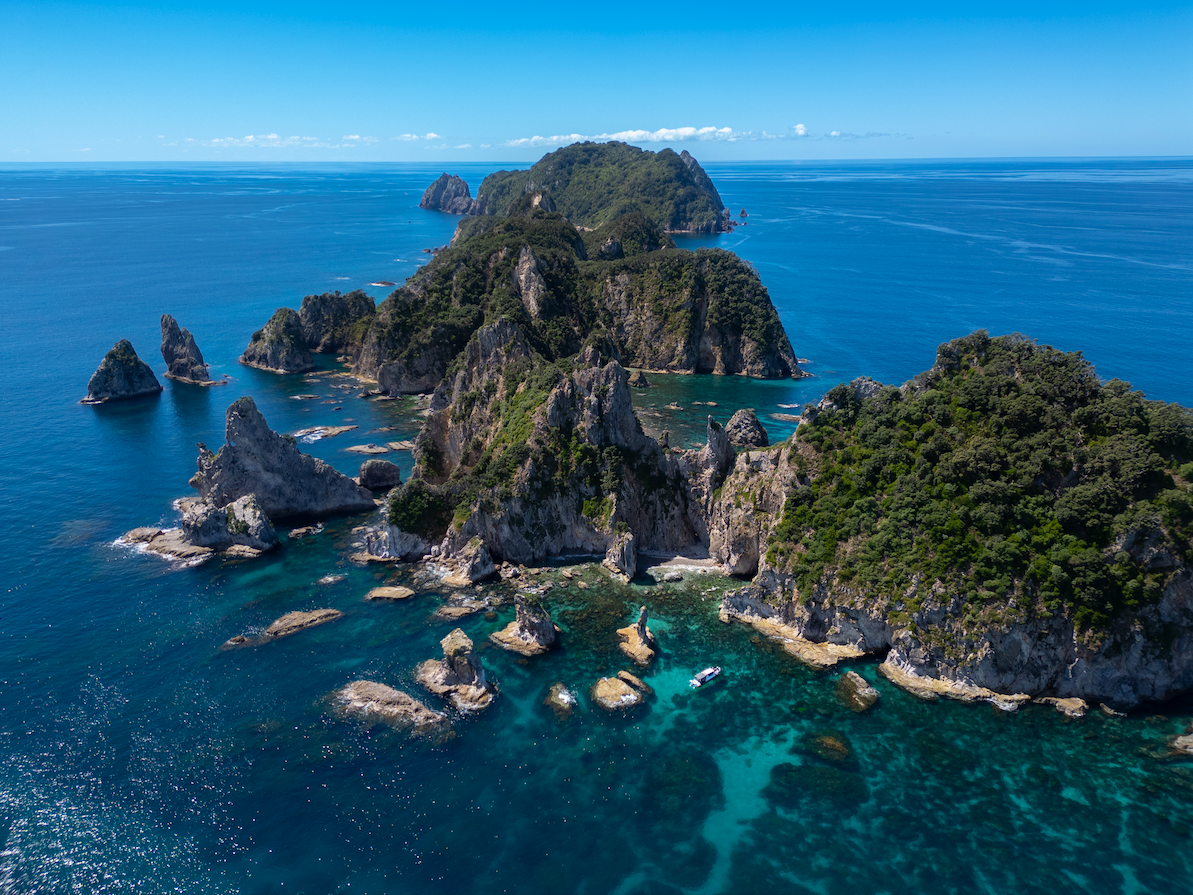 Aldermen Islands Nature Reserve Boat Tour