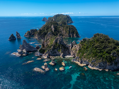 Aldermen Islands Nature Reserve Boat Tour