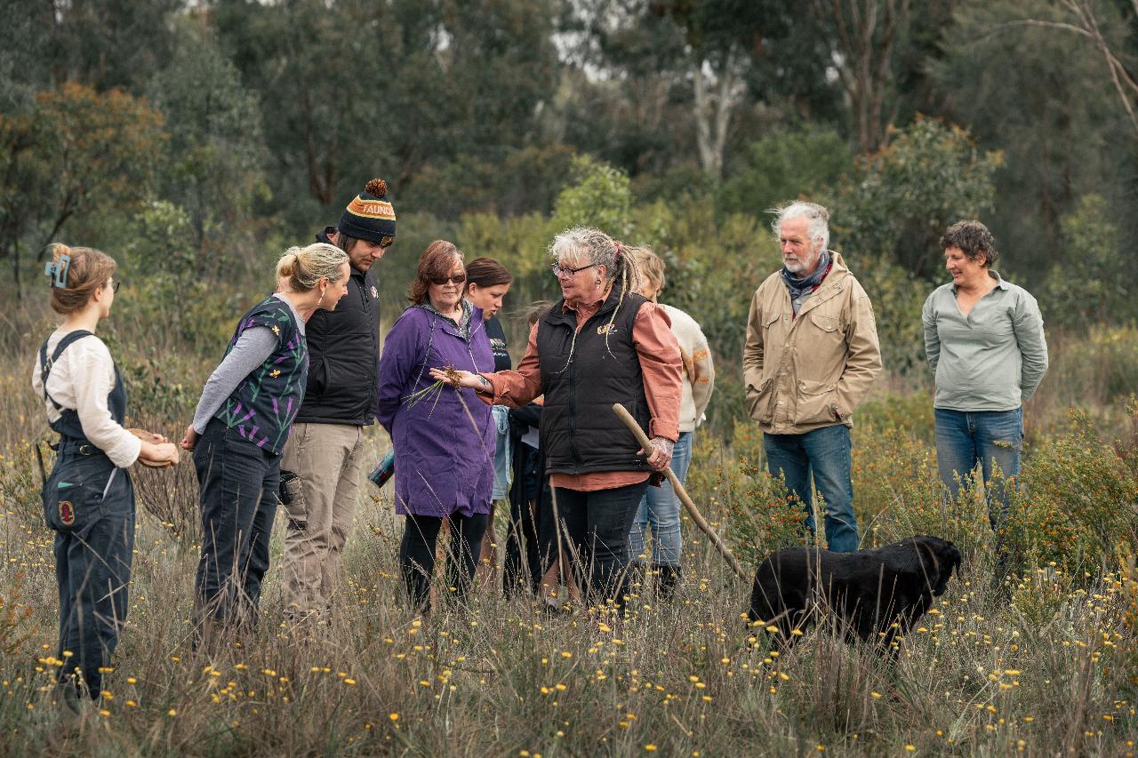 wawa Euroa