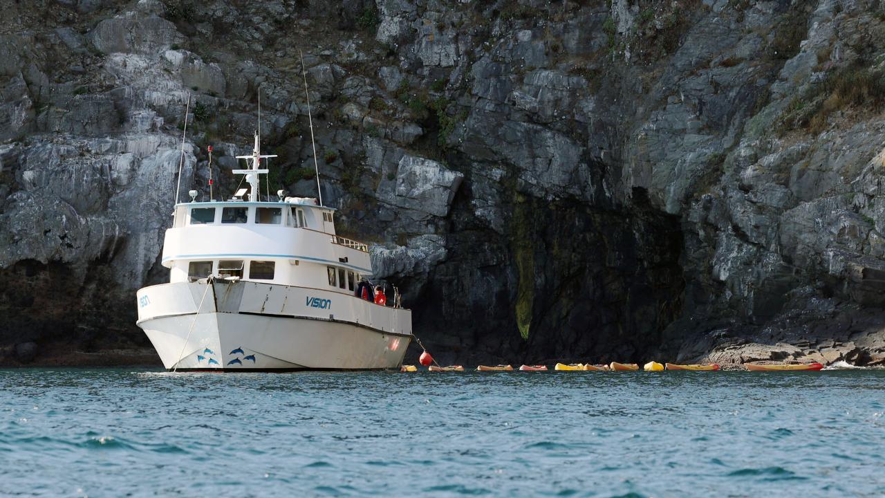 VISION Day Trip Charter - Kayaking and Snorkeling for 32 Included