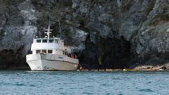 VISION Day Trip Charter - Kayaking and Snorkeling for 32 Included 