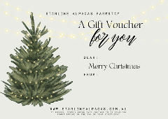 Gift Certificate - $100.00