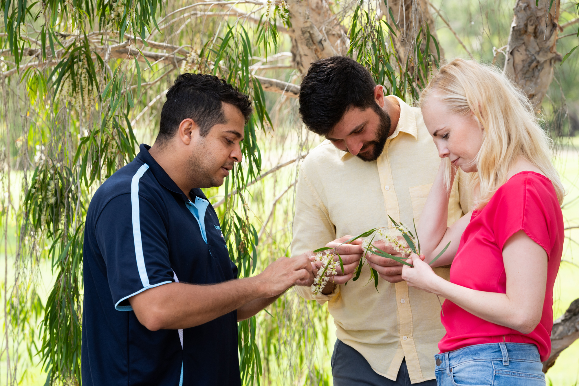 Yesterday, Today, Tomorrow Tour