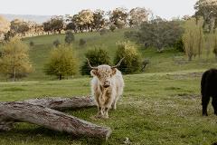 Fleurieu Peninsula Tourism Destination Management Plan - Stakeholder Engagement Session 2