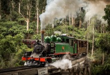 Puffing Billy and Healesville Sanctuary Private Tour