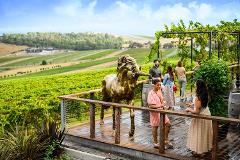 Yarra Valley Wineries Private Day Tour