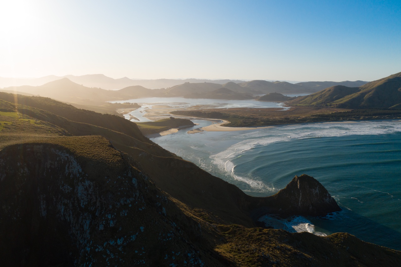 Otago Peninsula In-Depth Tour and Blue Penguins Pukekura Experience