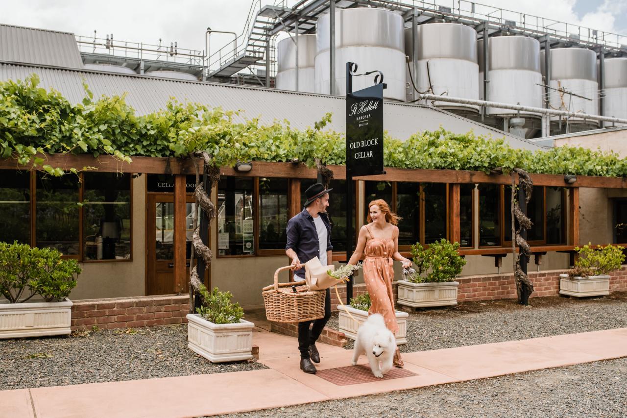 Barossa Cellar Door Journey: A Progressive Paired Wine & Lunch Trail (TC)