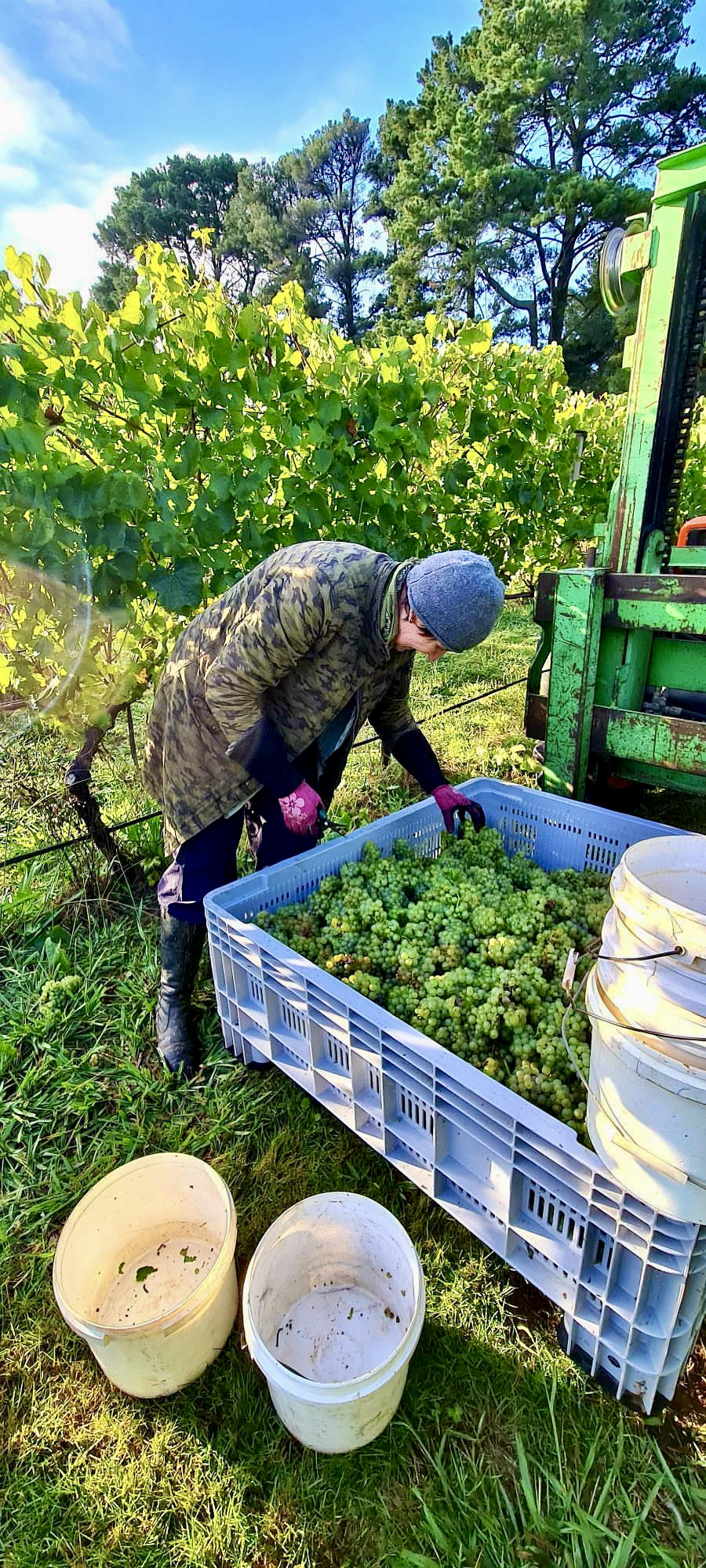 Wine Tasting Tour 3 wineries, 2 to 6 People