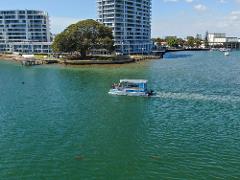 1 Hour Deluxe Scenic Dolphin Cruise
