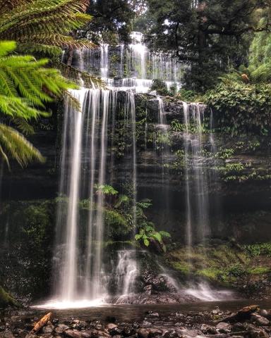 Russell Falls with Bonorong Wildlife Sanctuary Tasmania Australia