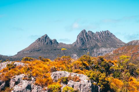 Cradle Mountain National Park Tasmania Australia