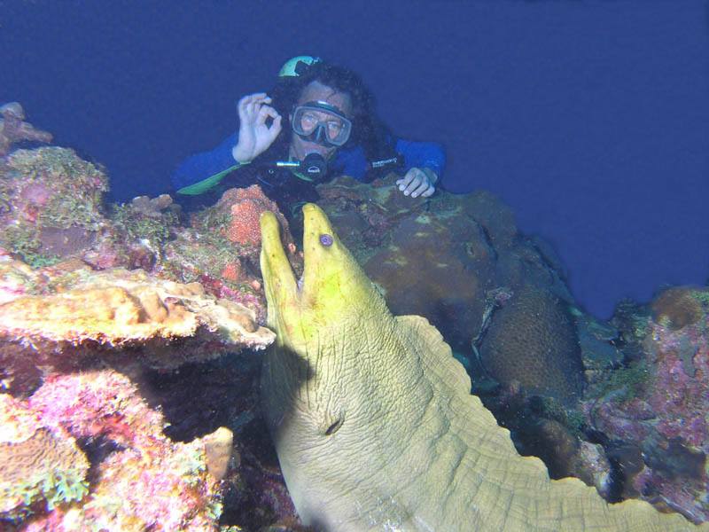 The Dive Shop - 6 Tank Dive