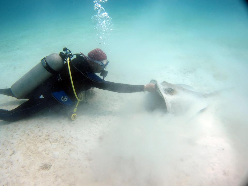 The Dive Shop - 4 Tank Dive