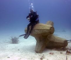 The Dive Shop - 8 Tank Dive