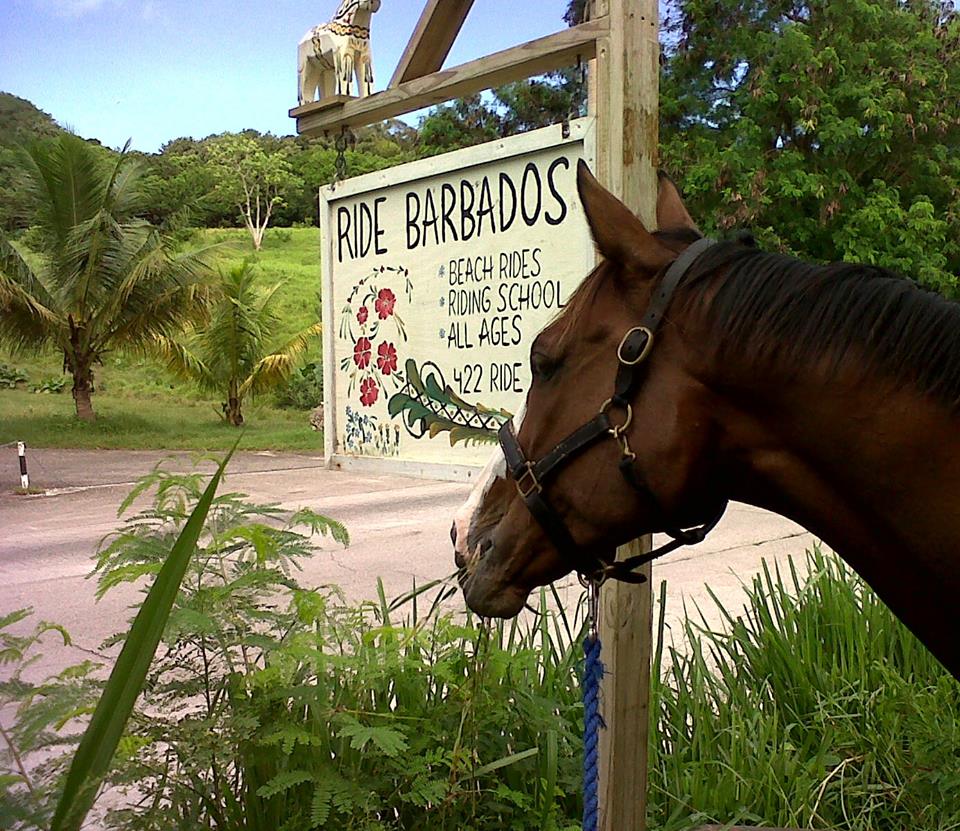 Ride Barbados