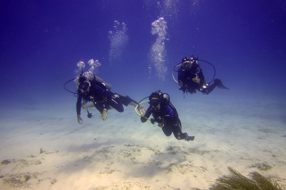 The Dive Shop - 10 Tank Dive