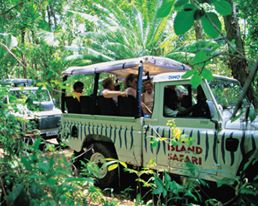 Island Safari - Adventure Safari