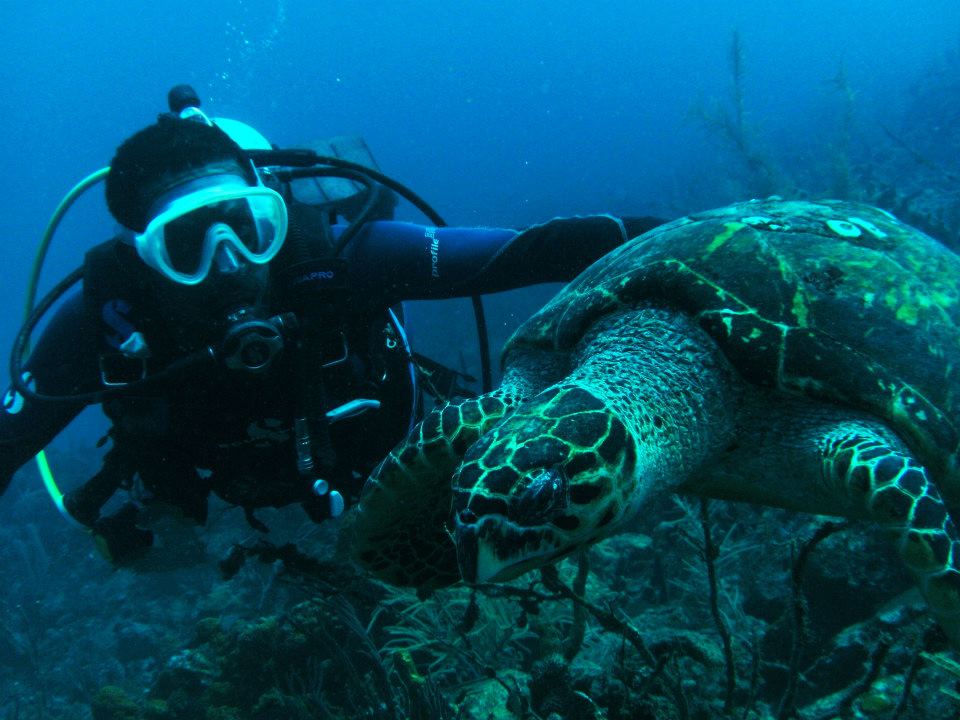 The Dive Shop - 2 Tank Dive