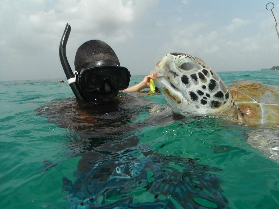 El Tigre - 3 hour Snorkelling Cruise