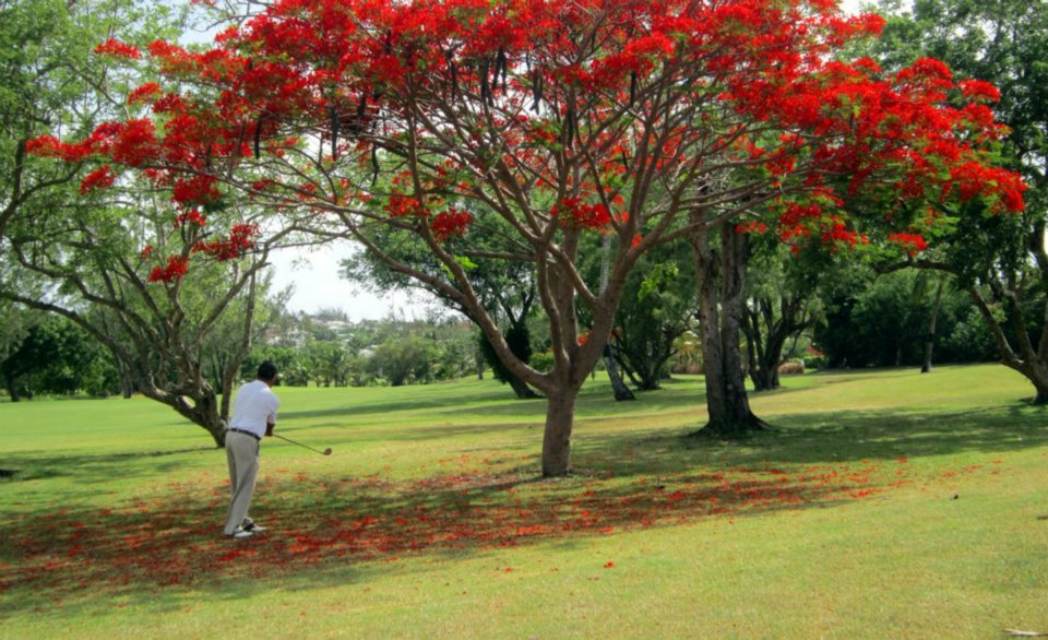 Barbados Golf Club - All Inclusive Golf Package w/transportaton