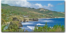 Island Safari - Congaline Adventure