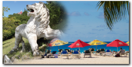 Island Safari - Surf & Turf Adventure
