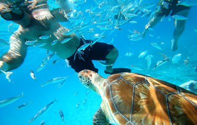 Stiletto IV Snorkel Cruise