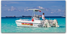 Wildcat/Thriller Private Group Tours