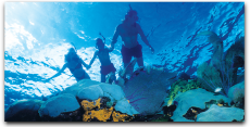 Wildcat - Snorkel & Adventure
